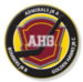 AHG Logo - 3 Teams